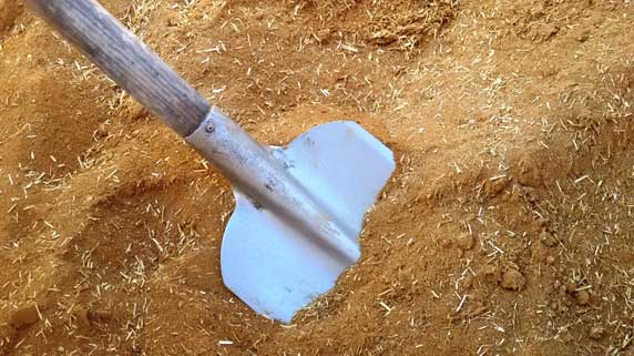 Nederlandse-Basisleem